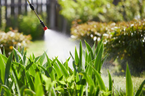 24/7 Emergency Ant Control experts in Salamanca, NY