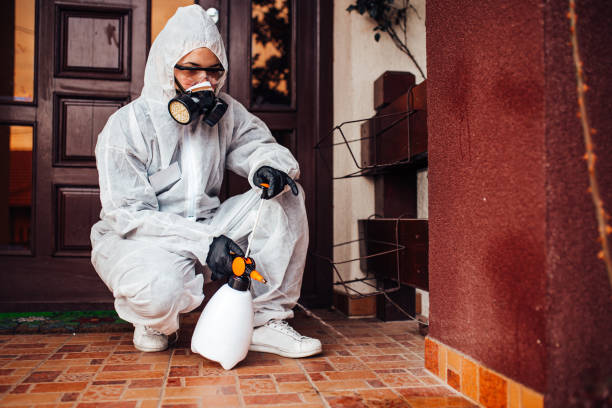 Reliable Ant Control contractor in Salamanca, NY by Show Me Pest Control